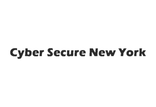 Cyber Secure New York