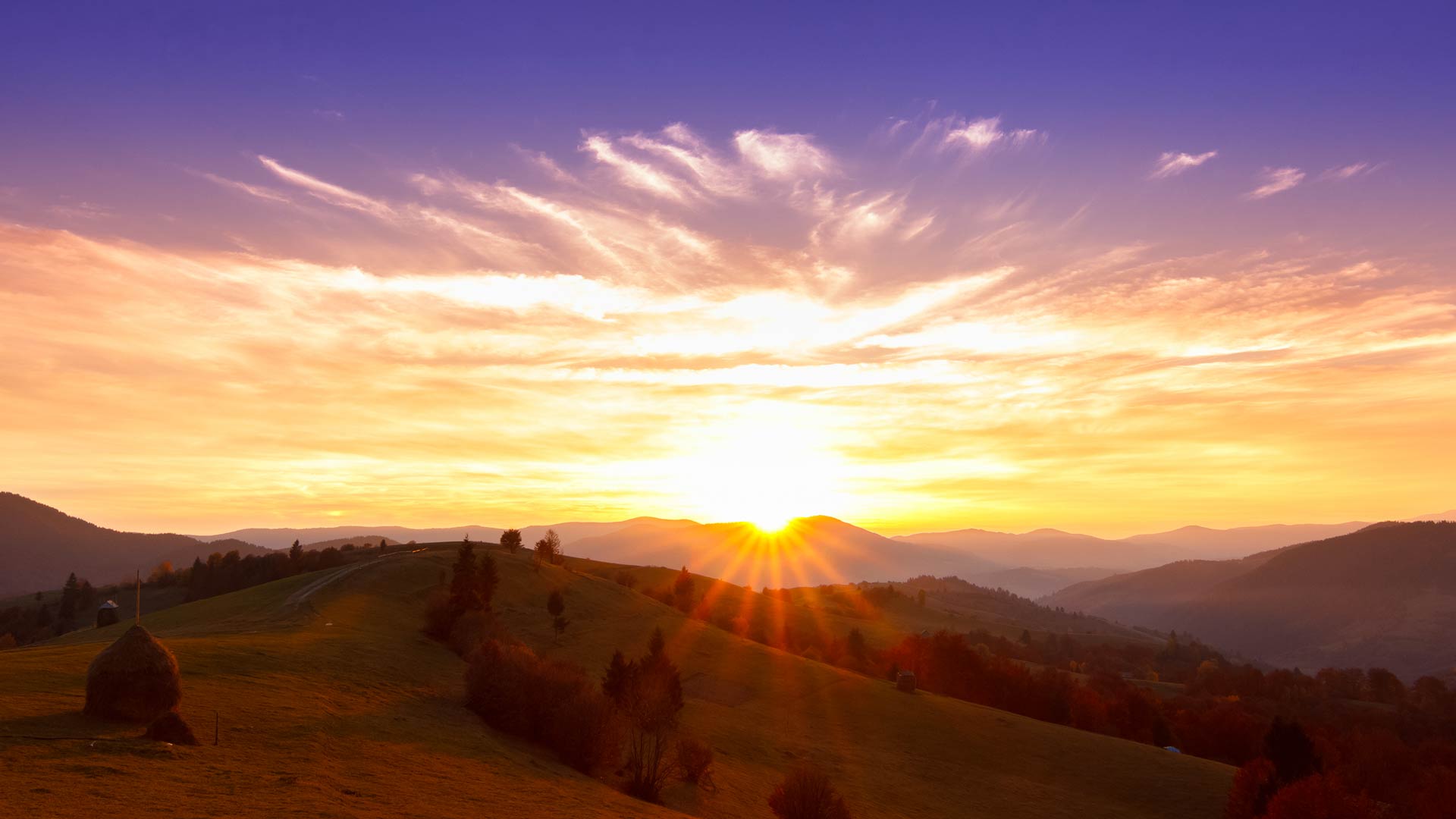 Newsletter | Gabriella Boyd Foundation